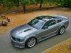 Ford Saleen.jpg